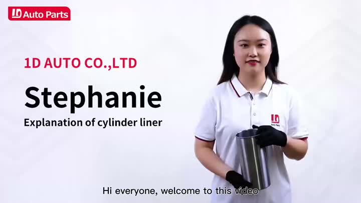 1D-Cylinder liner explanation video