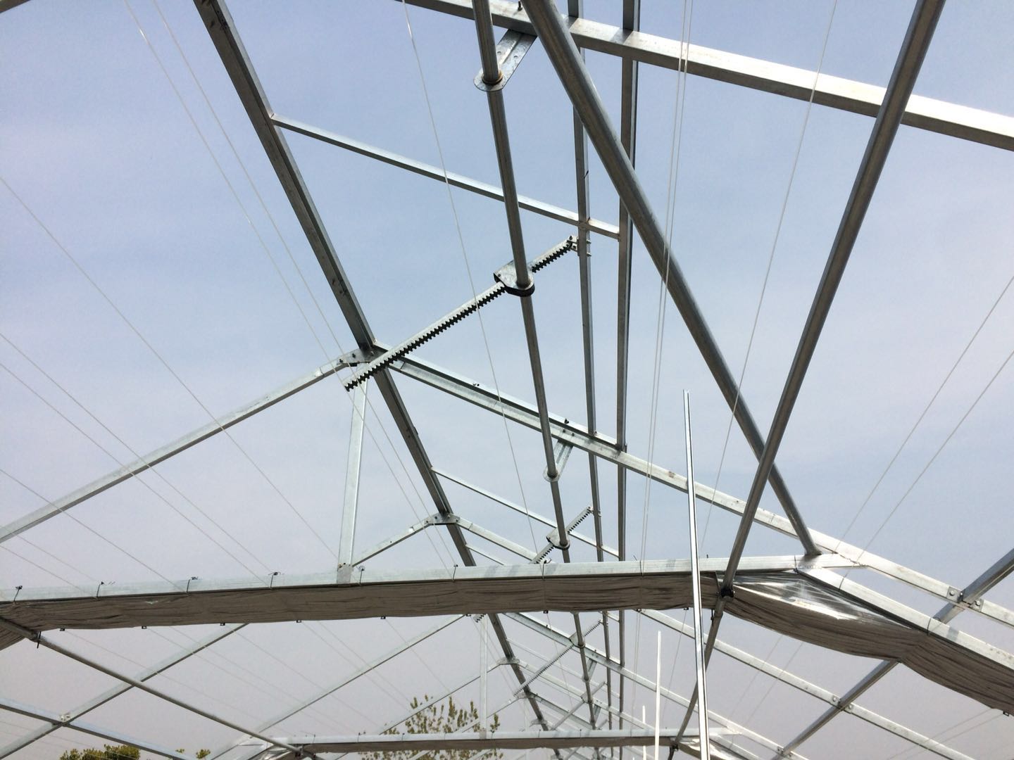 Single Span Greenhouse