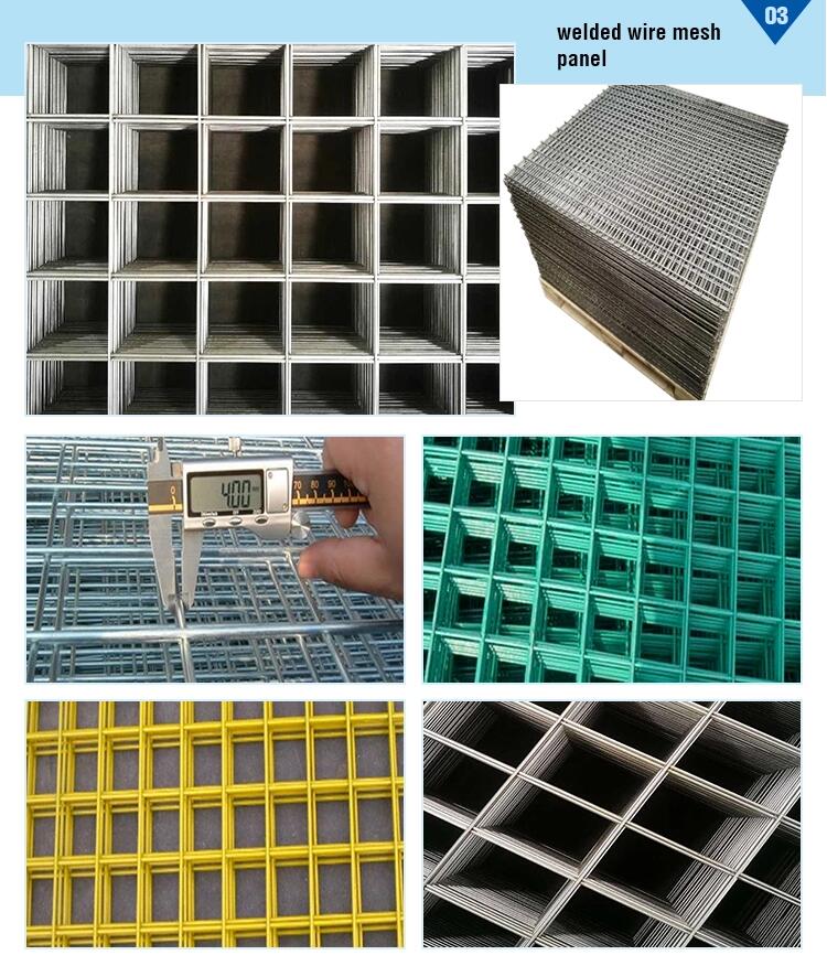 2x2 2x4 Galvanis Welded Wire Mesh Untuk Panel Panel Harga Rendah