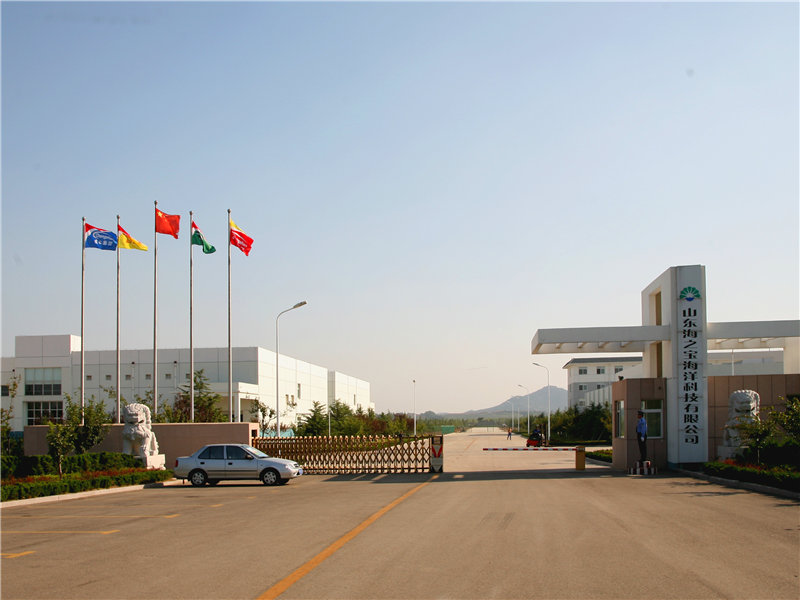 Shandong Haizhibao Ocean Science and Technology Co.,Ltd.