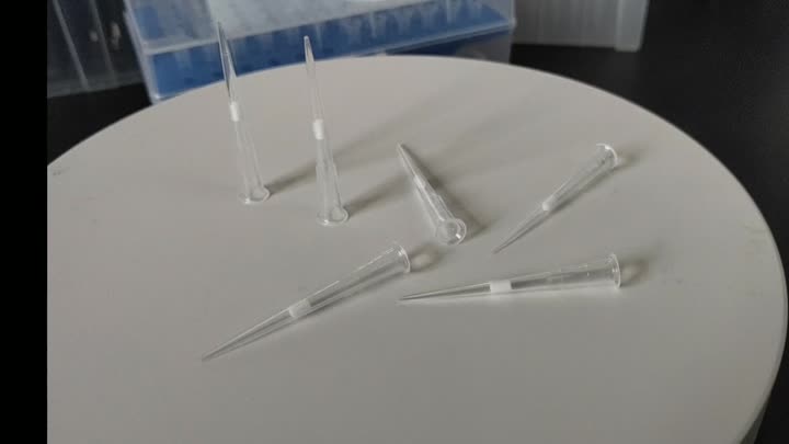 Mẹo pipet 10ul, bộ lọc, vô trùng, hộp trong suốt đóng gói