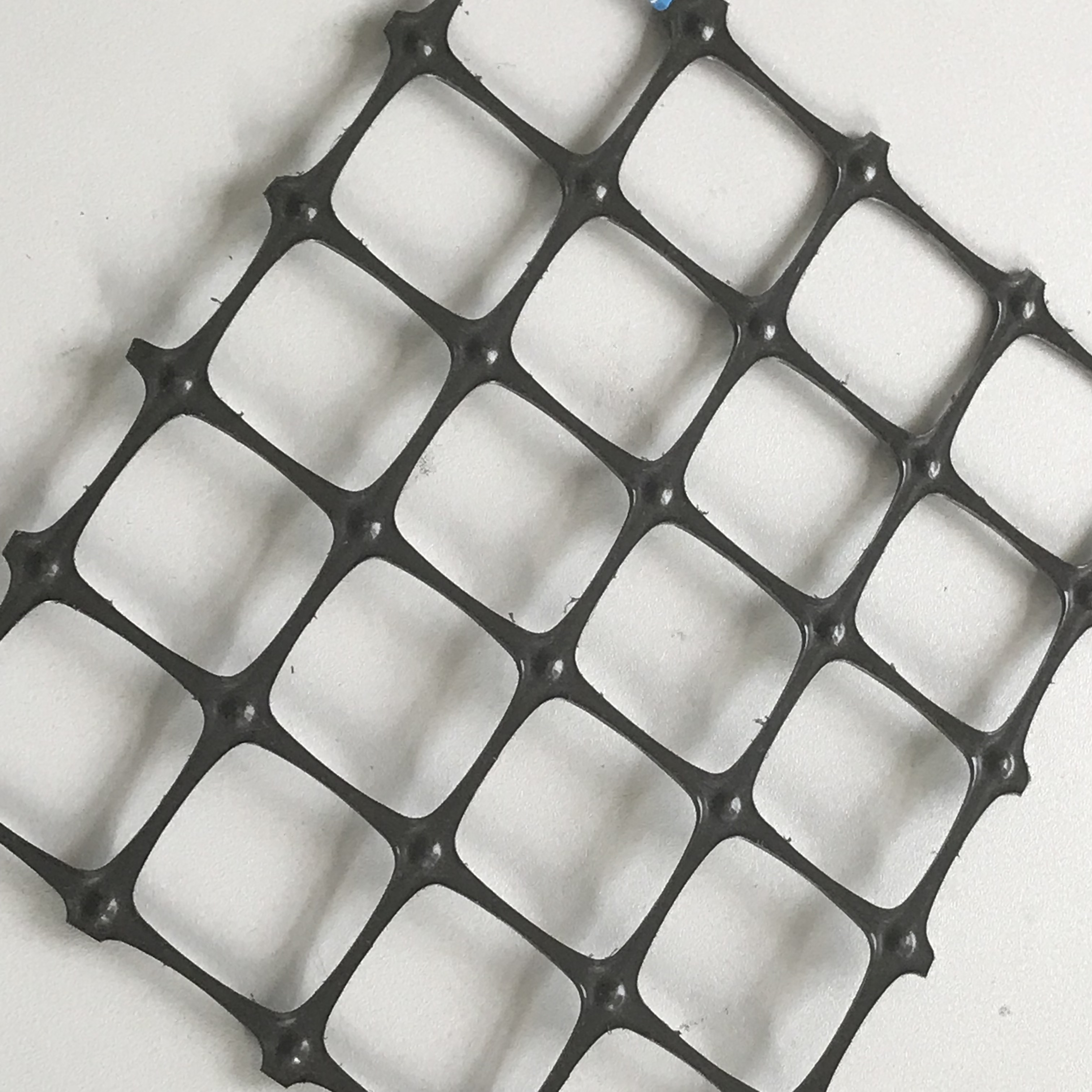 PP Bioxical Geogrid10