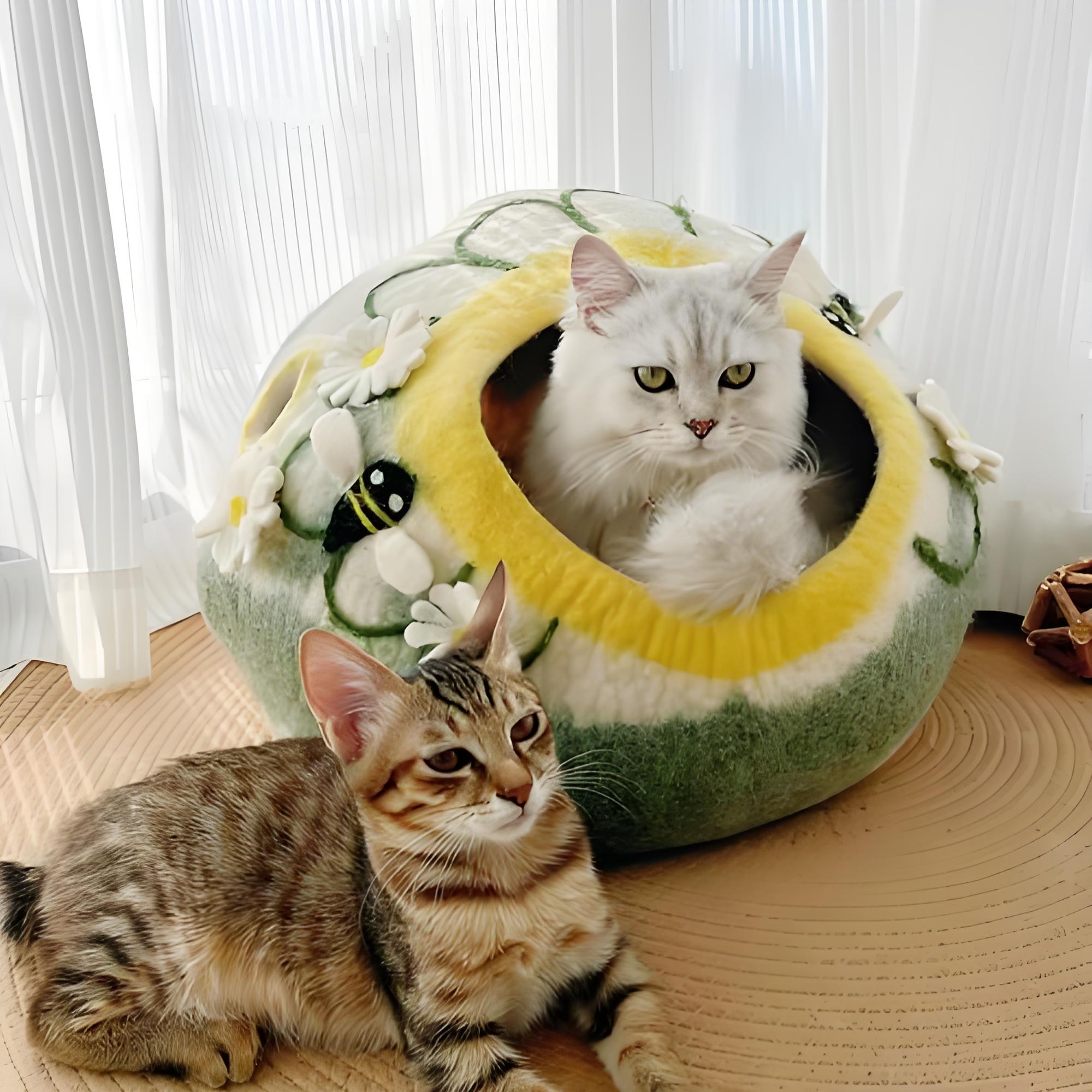 O ninho de gato sentiu