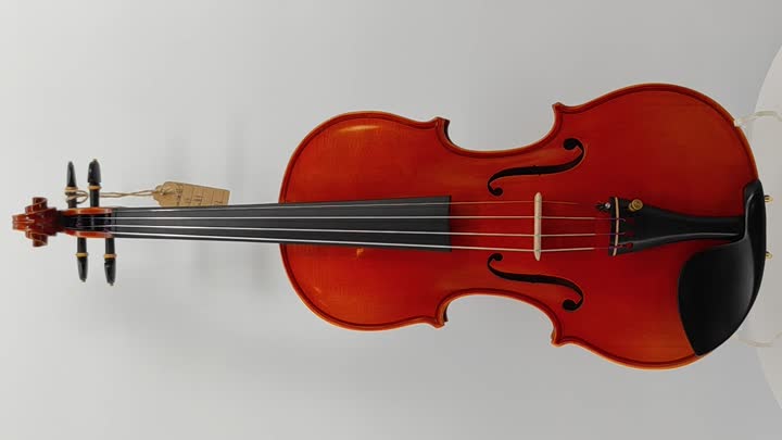 violin-HLA-8