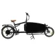 Urban Electric Cargo Bike Two Wheeler Ecargo Bikes