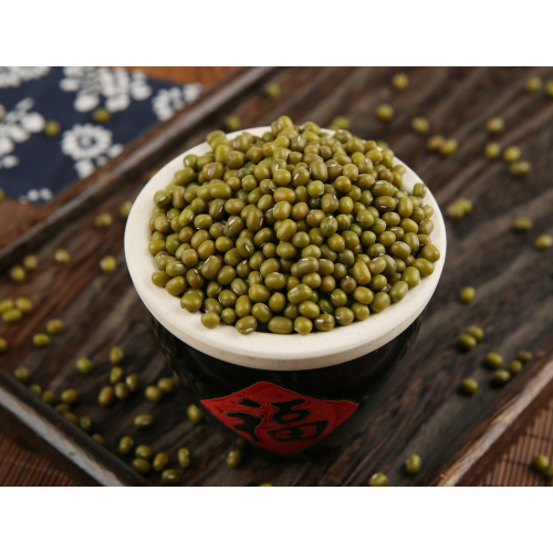 High-yield cultivation of mung bean