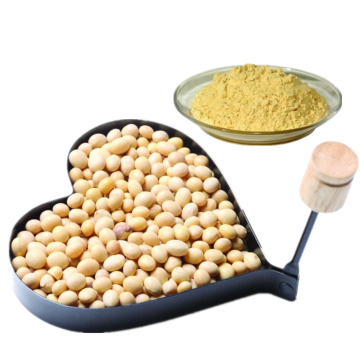 Improve Menopausal Oeoporosis ---- Soybean Extract
