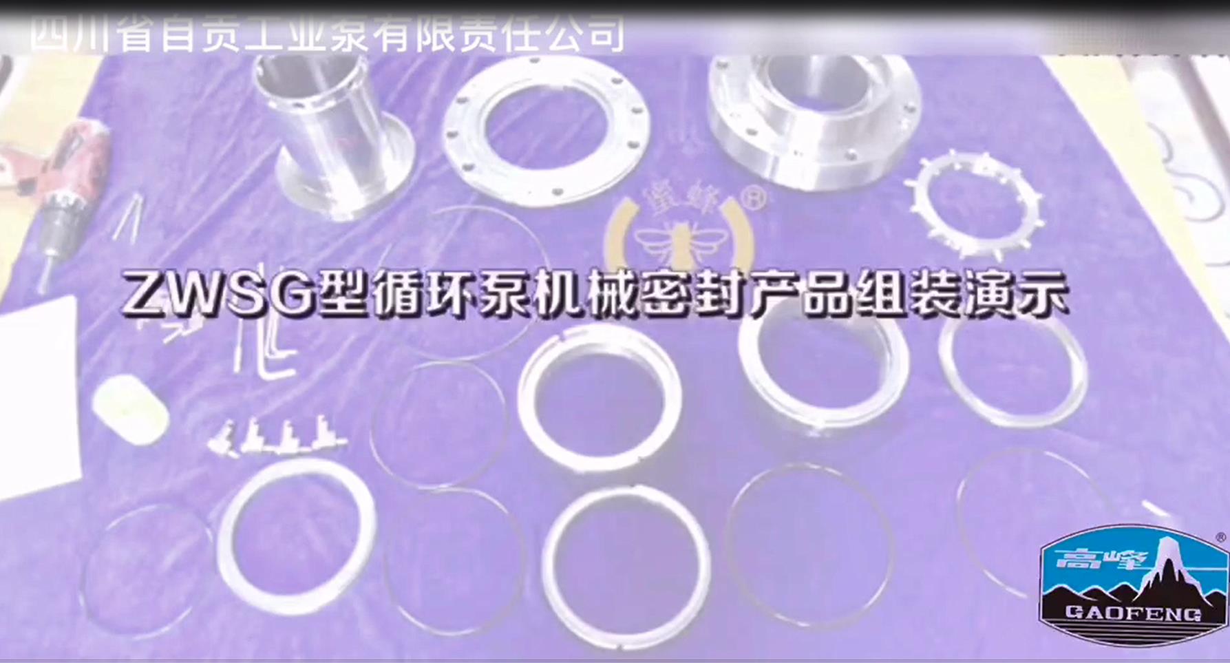 Mechanical seal Video