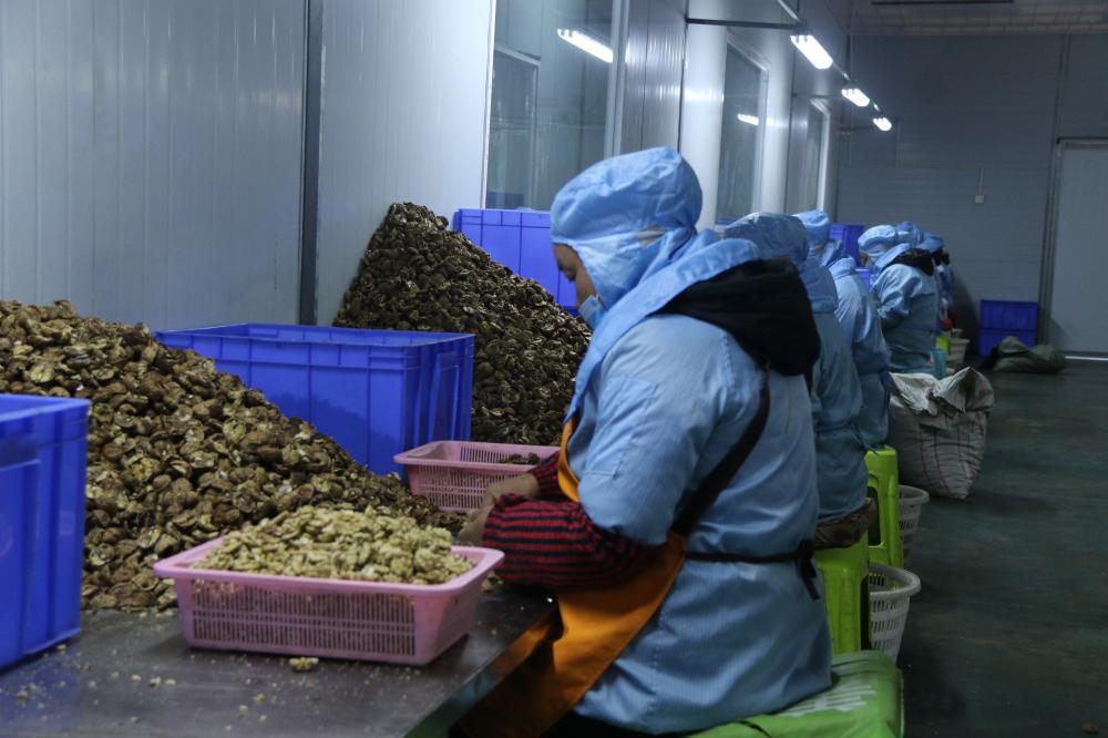 shelling by hands