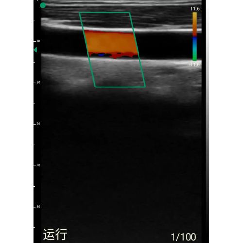 USB -lineare Sonde