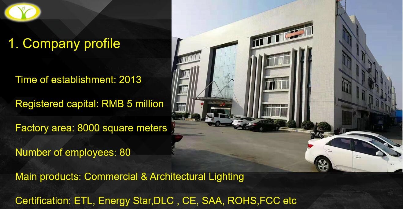 Rhein Lighting Technology Co.,Ltd.