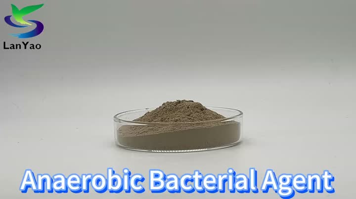 Anaerobic Bacterial Agent