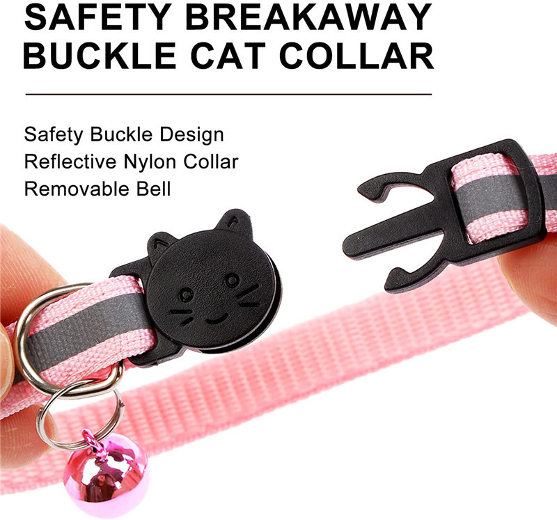 Cat Collars