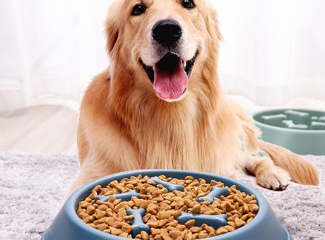 Feeding bowl