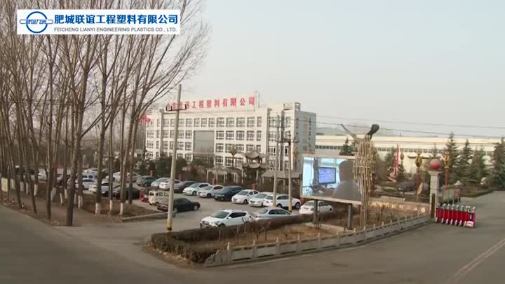 Feicheng Lianyi Engineering Plastics Co.、Ltd