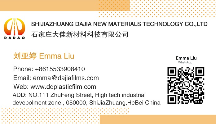 DAJIA EMMA LIU Dajia Emma Liu