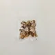 Shiitake grzybowy wycinek odwodniony reklam