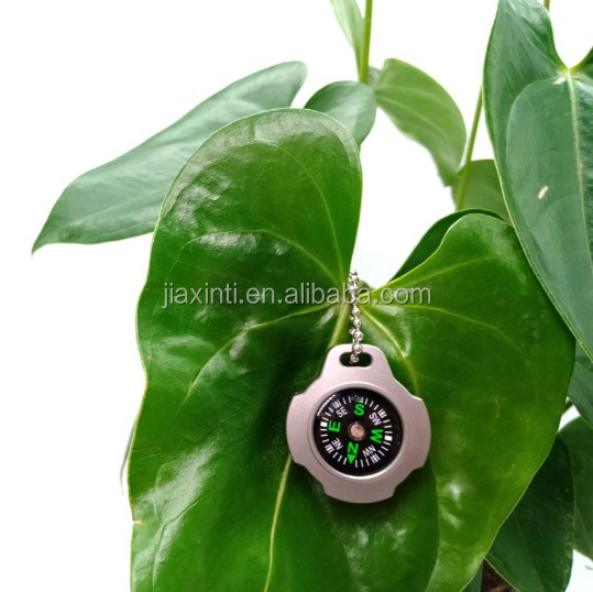 the newest mini compass titanium metal compass necklace for sale