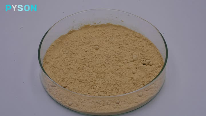 Hericium erinaceus Extract ผลไม้