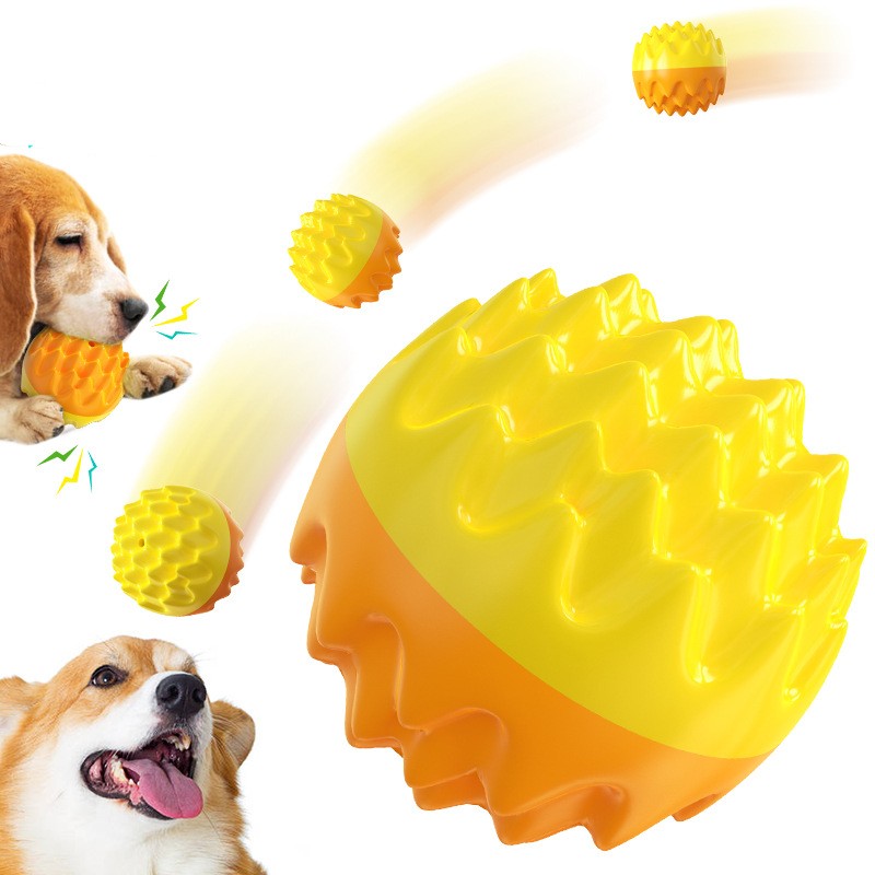 Собака жевание мяча