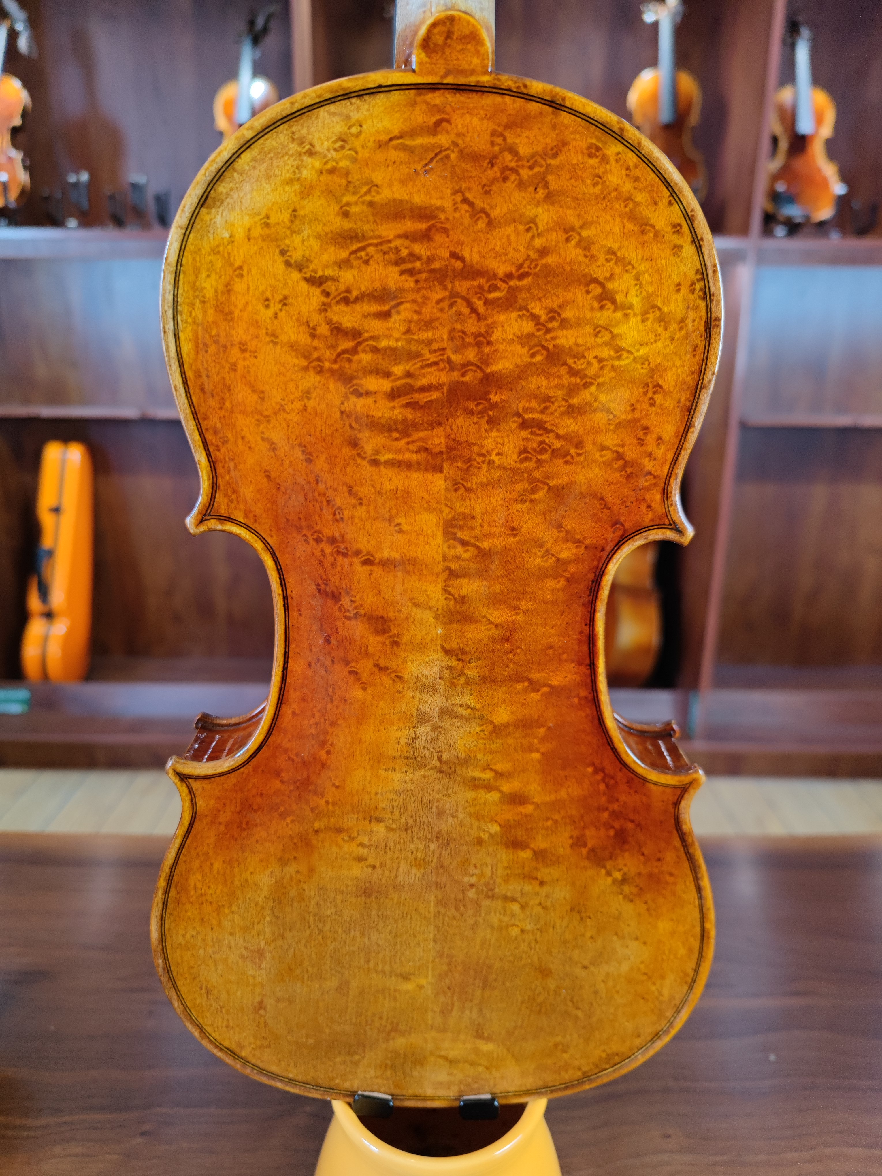 Violino-GF-EUA-14