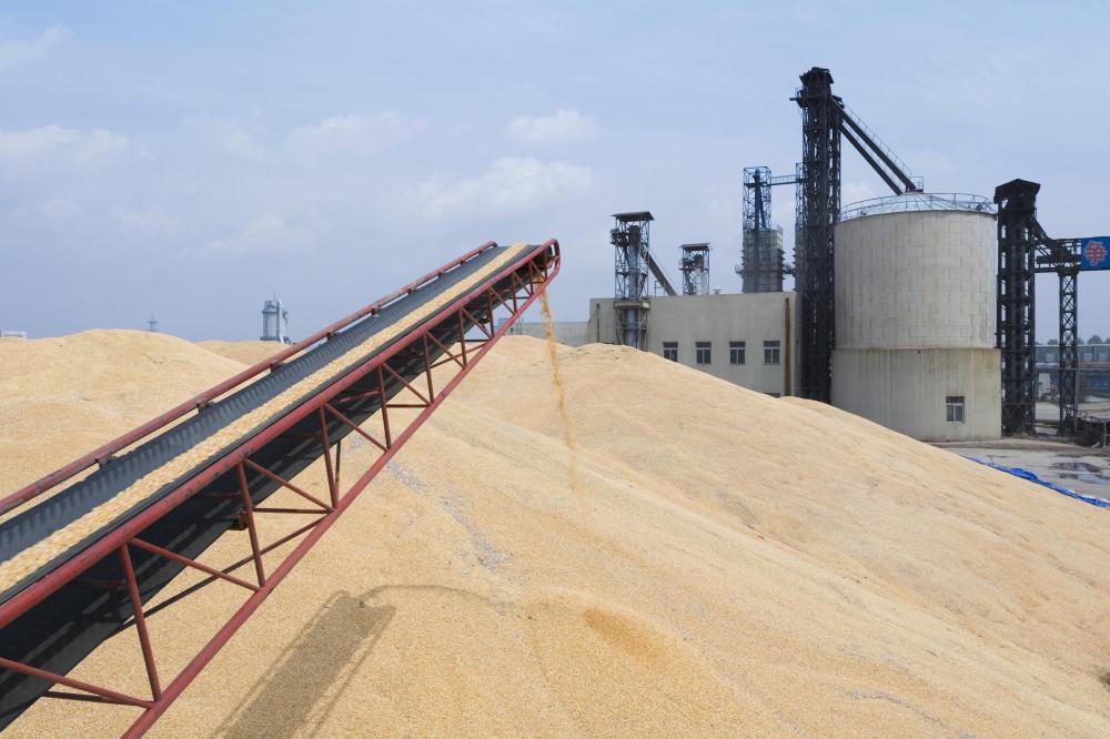 Corn raw materials