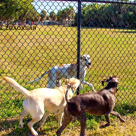 Recinzione di collegamento a catena