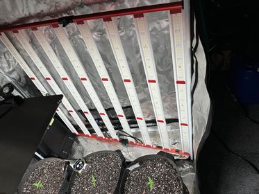 800W LED Grow Işık