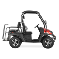 EFI Jeep Style 200cc UTV mit EPA