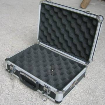 Ammunition Case