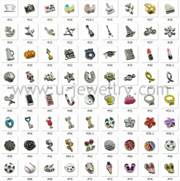 Lastest styles floating charms for lockets Assorted floating charms wholesale (FC0073)