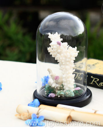 Wholesale Wood Cloche Bell Jar Flower Glass Dome Set