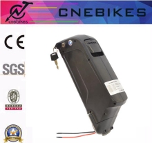 long-life cycle dophin type battery for electric bike