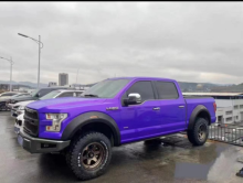 Ford F150 2015-2017 Truck Fender Flares Car ABS Plastic Back Fender Flares