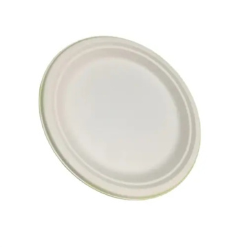 Biodegradable disposable pizza tray paper food takeaway tray