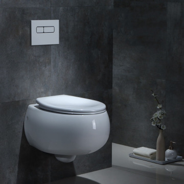 Modern Design Wall-Mounted Toilets: High Quality Round Ceramic Wall-Mounted Toilets