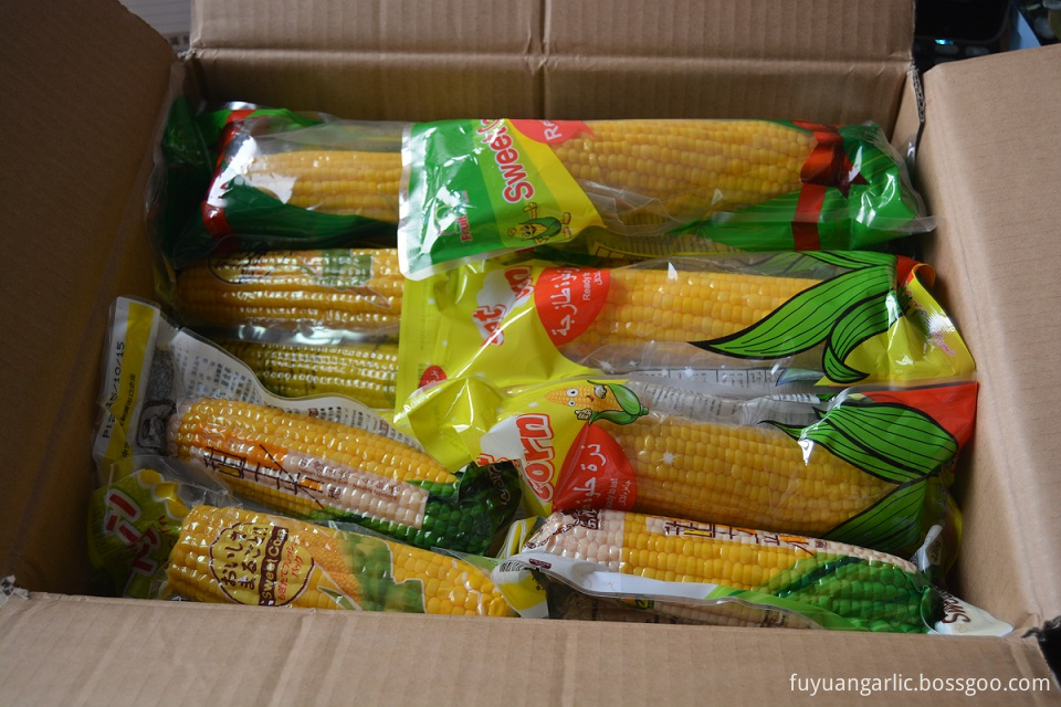 Fresh Sweet Corn 7