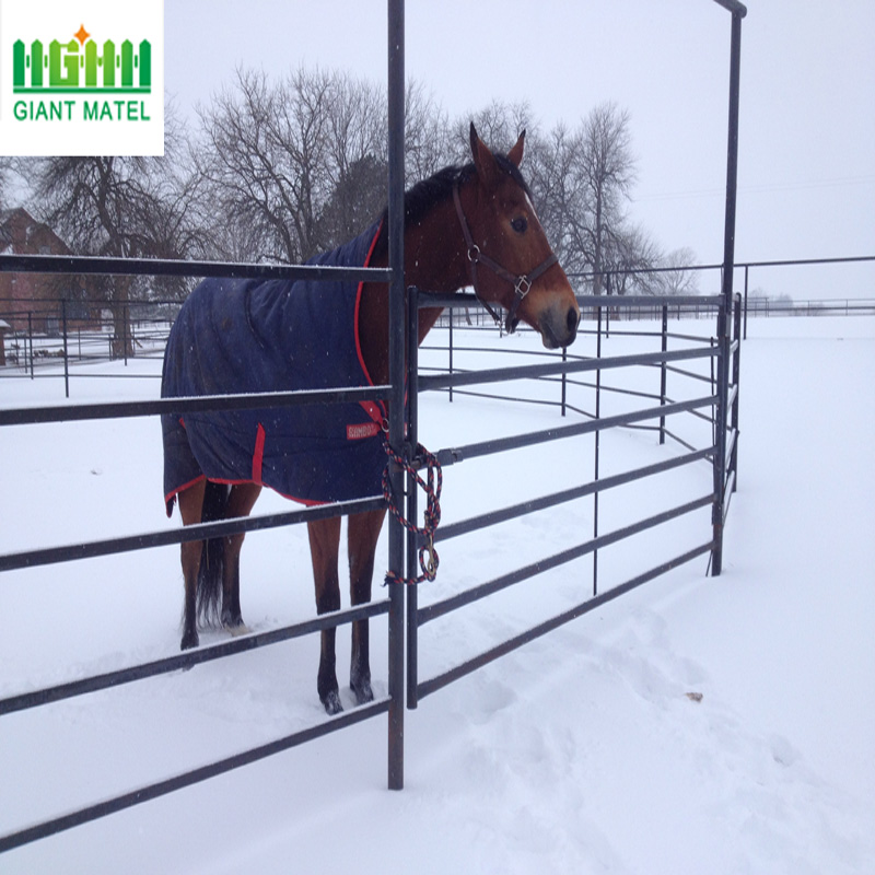 Galvanized Corral Fence Panel Animal Fence