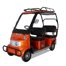 4 Passenger Electric Sightseeing Car