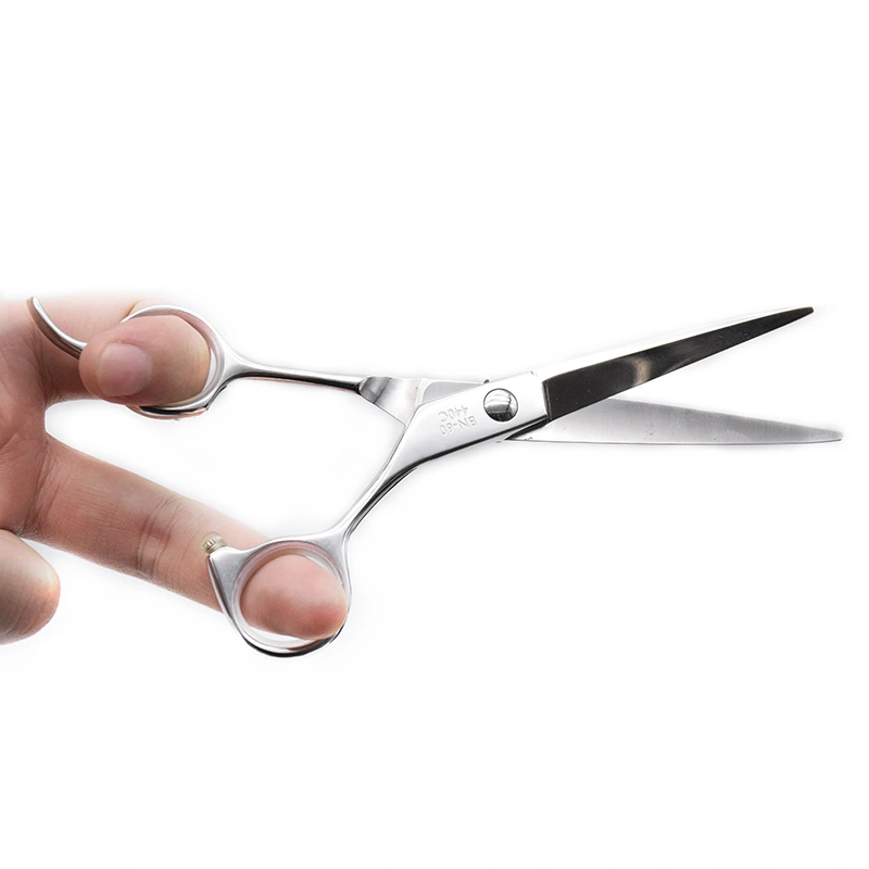 Hair Scissors for Professional Hair Cutting