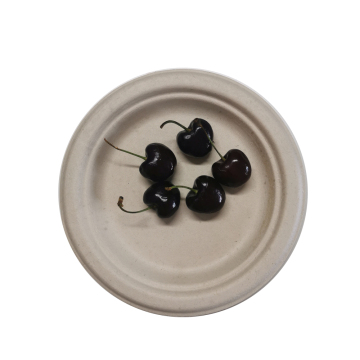 Compostable packaging7 inch plates disposable bagasse plates