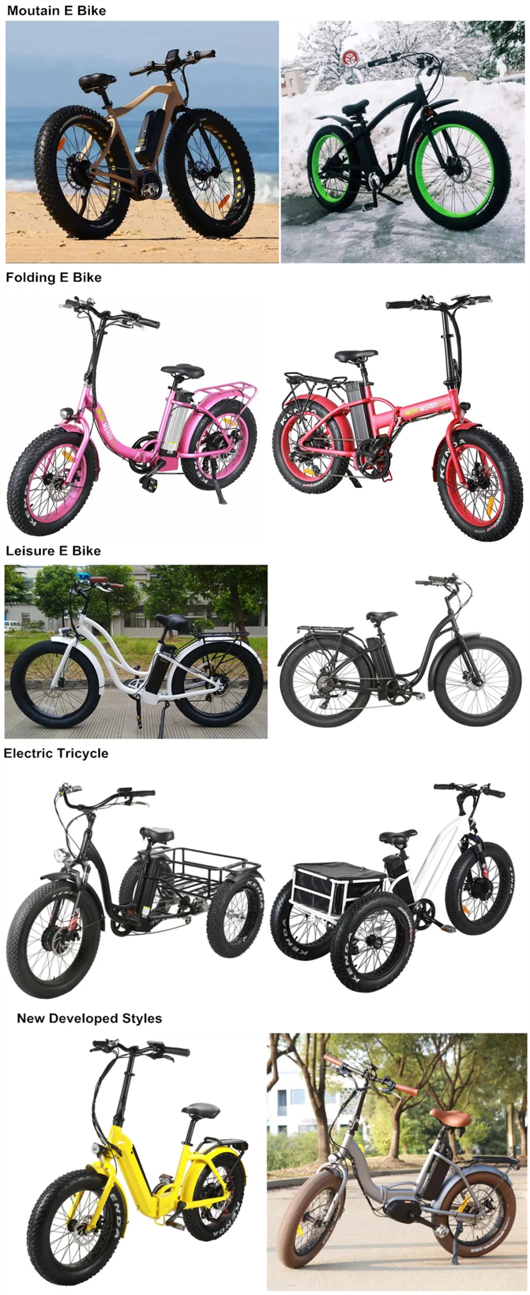 Hot Sell Middle Motor Drive Electric Bicycle 48V MTB Ebike