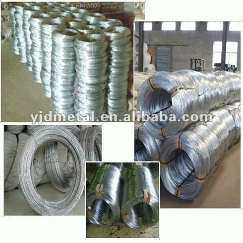 Electro Galvanized Iron Wire (factory)