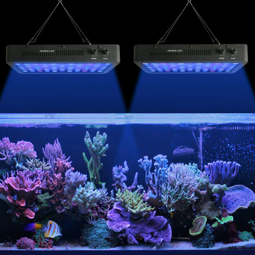 Aquarium LEDブラックライト安い3000K  -  6500K