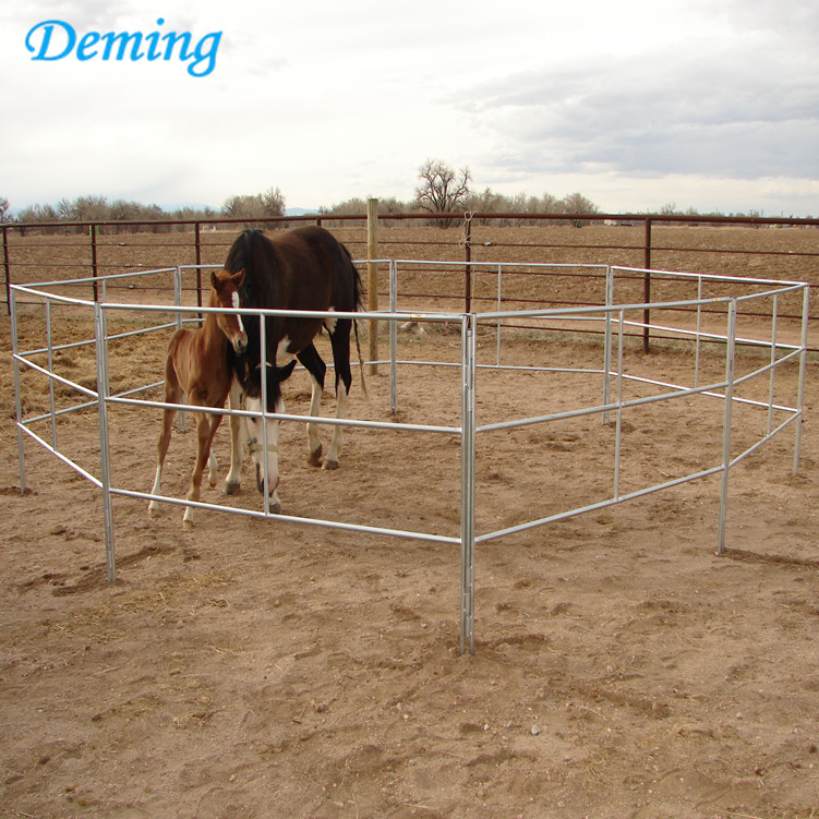 Best Selling Galvanized Horse Corral Fence