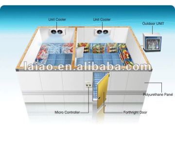 deep freezer cold room (cooling room /freezer/cold room)