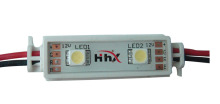 2 SMD LED module (PVC housing)