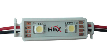 2 SMD LED module (PVC housing)
