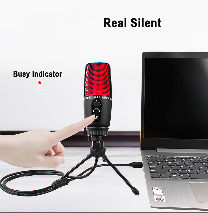 2021 OEM Small Diaphram Condenser USB Mic For Live Show