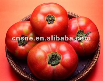 Tomato Extract